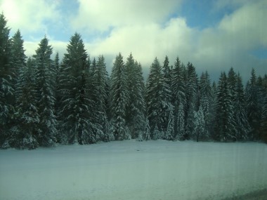 A beautiful winter scenery in Black Forest, Germany.© www.countrysidetrip.com