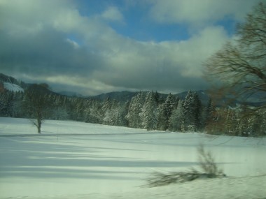 Winter in Black Forest,   Baden-Württemberg, Germany- © www.countrysidetrip.com